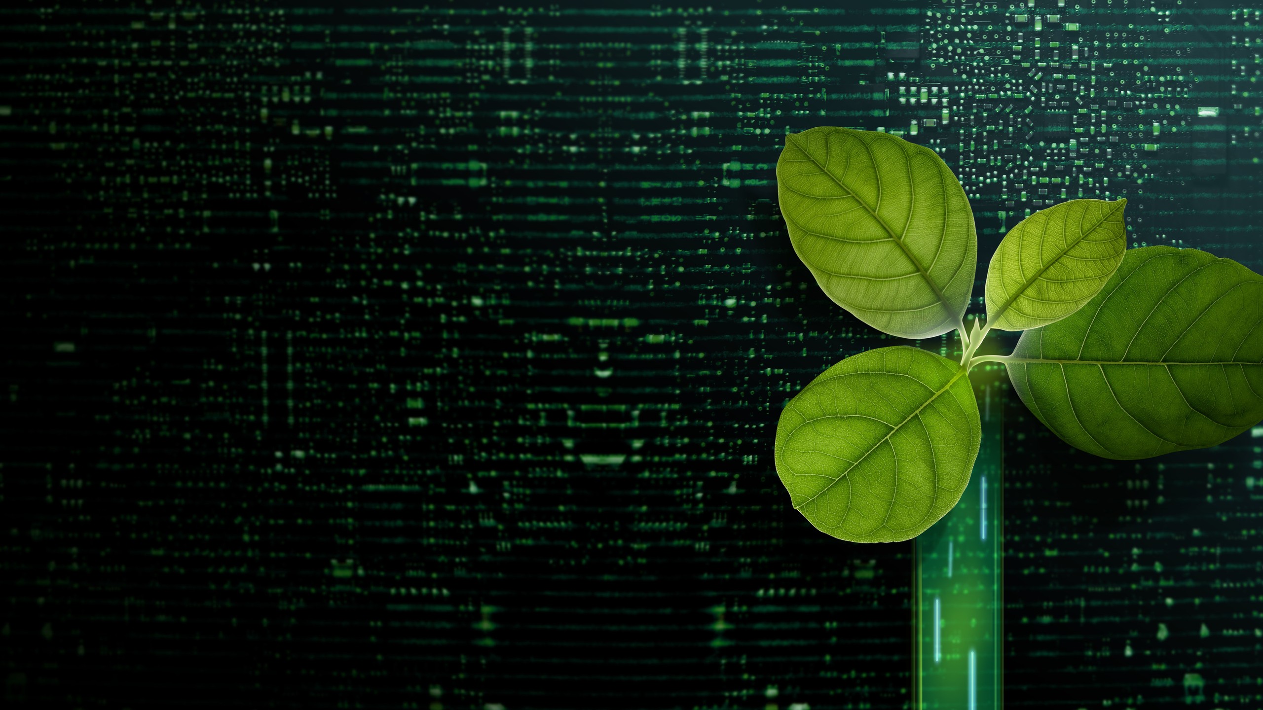Green Tech Talk 2025
