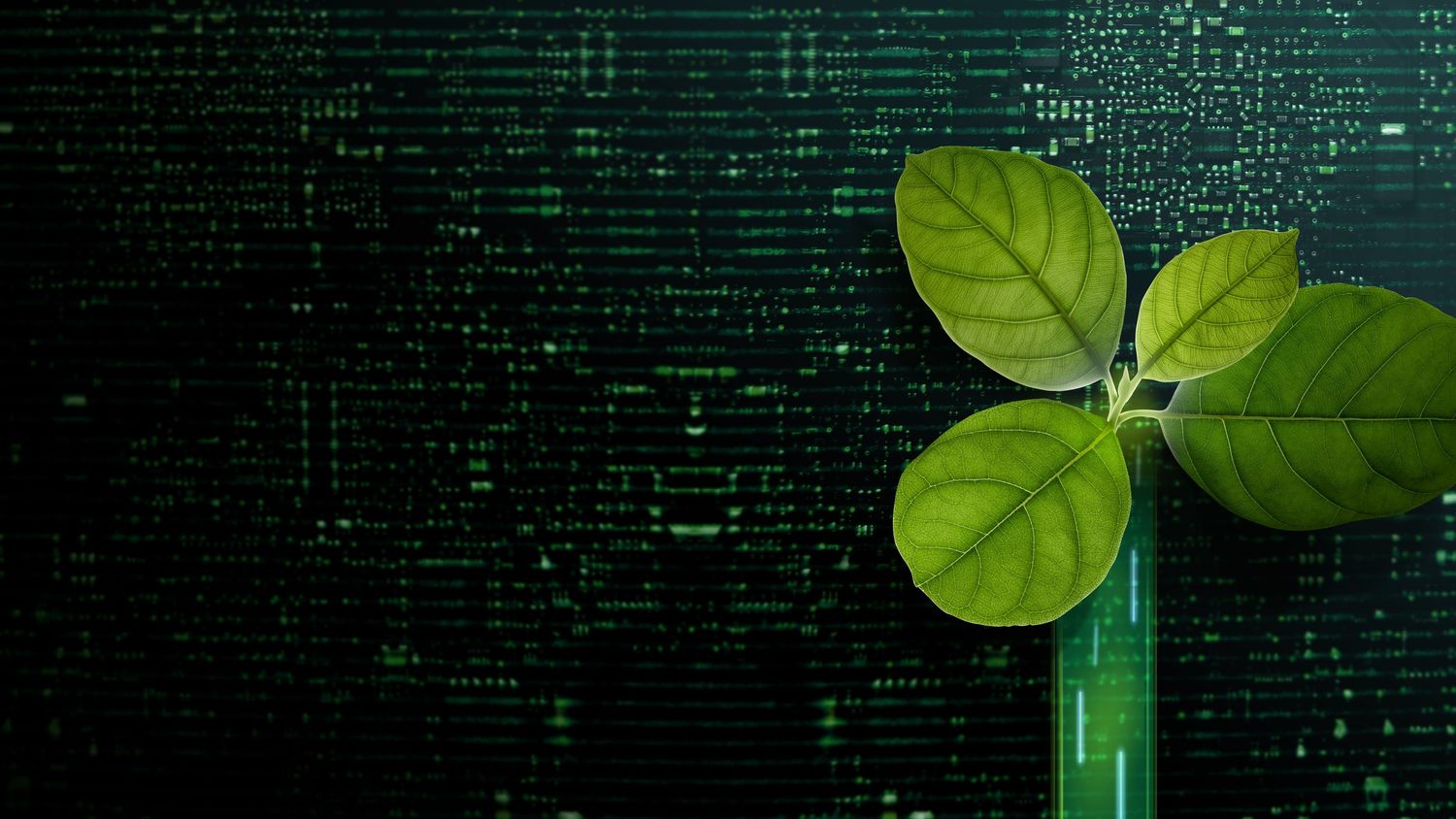 Green Tech Talk 2025